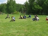 IMG_0183_copy.jpg
