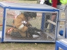 IMG_0005_copy_m.jpg