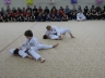 IMG_8231.JPG