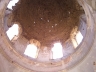 IMG0463.jpg
