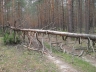 IMG_2789.JPG