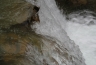 2011-03-19-13-45-02.jpg