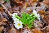 2011-03-20-08-02-14.jpg