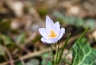 2011-03-20-11-59-51.jpg