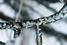 2011-03-21-07-45-09.jpg