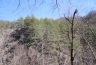 2011-03-23-12-25-14.jpg