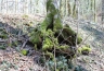 2011-03-23-13-16-34.jpg