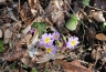 2011-03-23-13-28-28.jpg