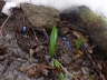 DSC00077.JPG