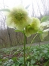 DSC00102.JPG