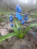 DSC00109.JPG
