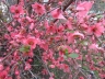 DSC00167.JPG
