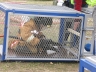IMG_0005_copy.jpeg