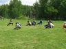 IMG_0183_xs.jpg