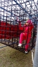 DSC_1350_copy.jpg