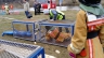 DSC_1368_copy.jpg