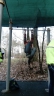 DSC_1391_copy.jpg