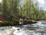 DSCN0215.JPG