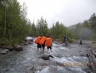 DSCN0220.JPG