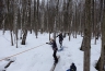 IMG_3862_copy.jpeg