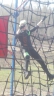 DSCN1730_cs.jpg