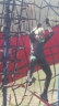DSCN1731_cs.jpg