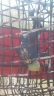 DSCN1733_cs.jpg
