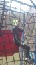 DSCN1737_cs.jpg