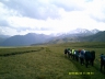 DSCF0417_cs.jpg