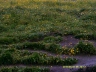DSCF0458_cs.jpg