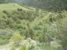 DSCN1868_cs.jpg