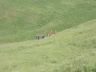 DSCN1891_cs.jpg