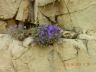 DSCN3624_cs.jpg