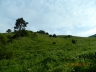 DSCN3660_cs.jpg