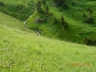 DSCN3672_cs.jpg