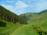 DSCN3695_cs.jpg