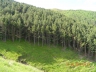 DSCN3706_cs.jpg