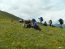 DSCN3745_cs.jpg