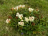 DSCN3763_cs.jpg