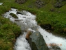DSCN3804_cs.jpg