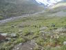 DSCN3856_cs.jpg