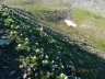 DSCN3927_cs.jpg